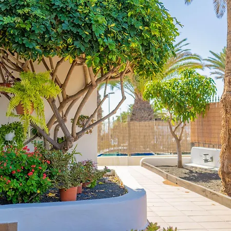 Isla De Lobos - Adults Only Daire